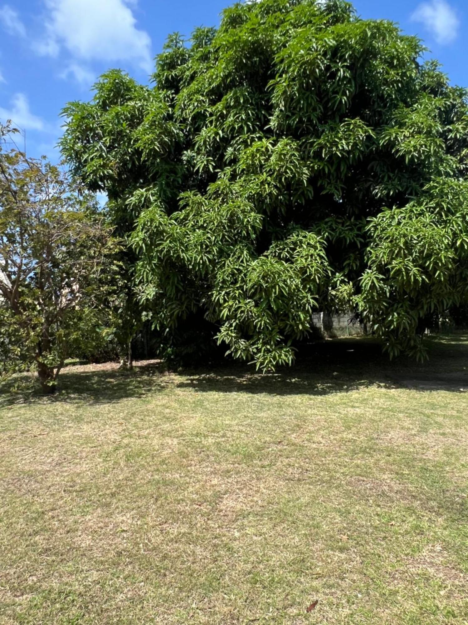 Entire Home - West Coast Barbados Saint Peter Exterior photo